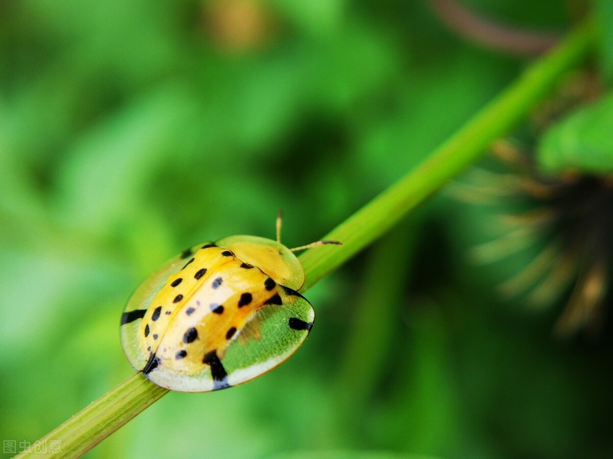 微妙无比——我曾与“玫琳凯”二度撞个满怀，便再也不想见