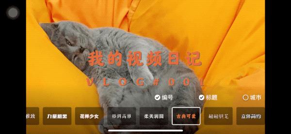 从零开始拍vlog视频教程,简单常用拍vlog的app及剪辑