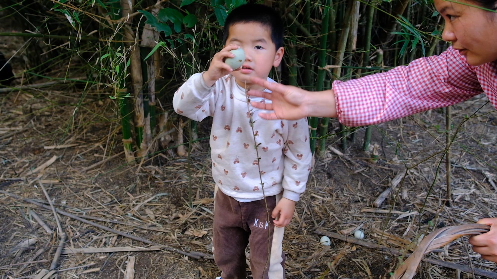 卖完公鸡留母鸡生蛋,不按斤按盒卖70-100块,居然收入千万