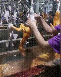 大腿上为什么绑黑带,女孩子大腿上绑黑带啥意思