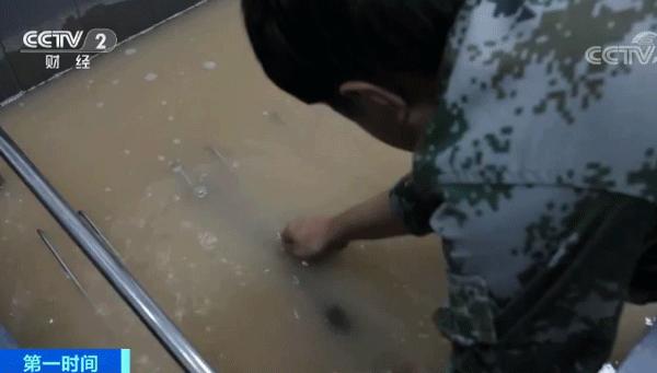 新型国产7.62毫米高精度步枪,下一代新型步枪