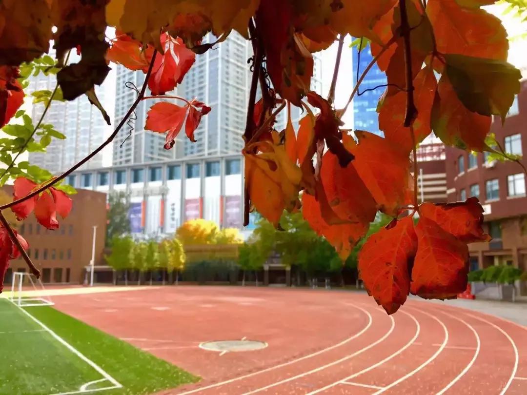 天津市耀华中学冯耀忠,天津市耀华中学招聘
