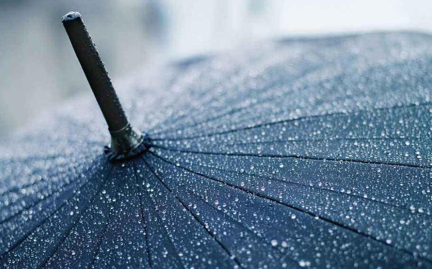 苏童短篇推荐,苏童短篇小说免费阅读