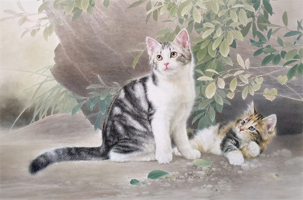 宫猫图鉴在哪儿,宫猫图鉴个人主页