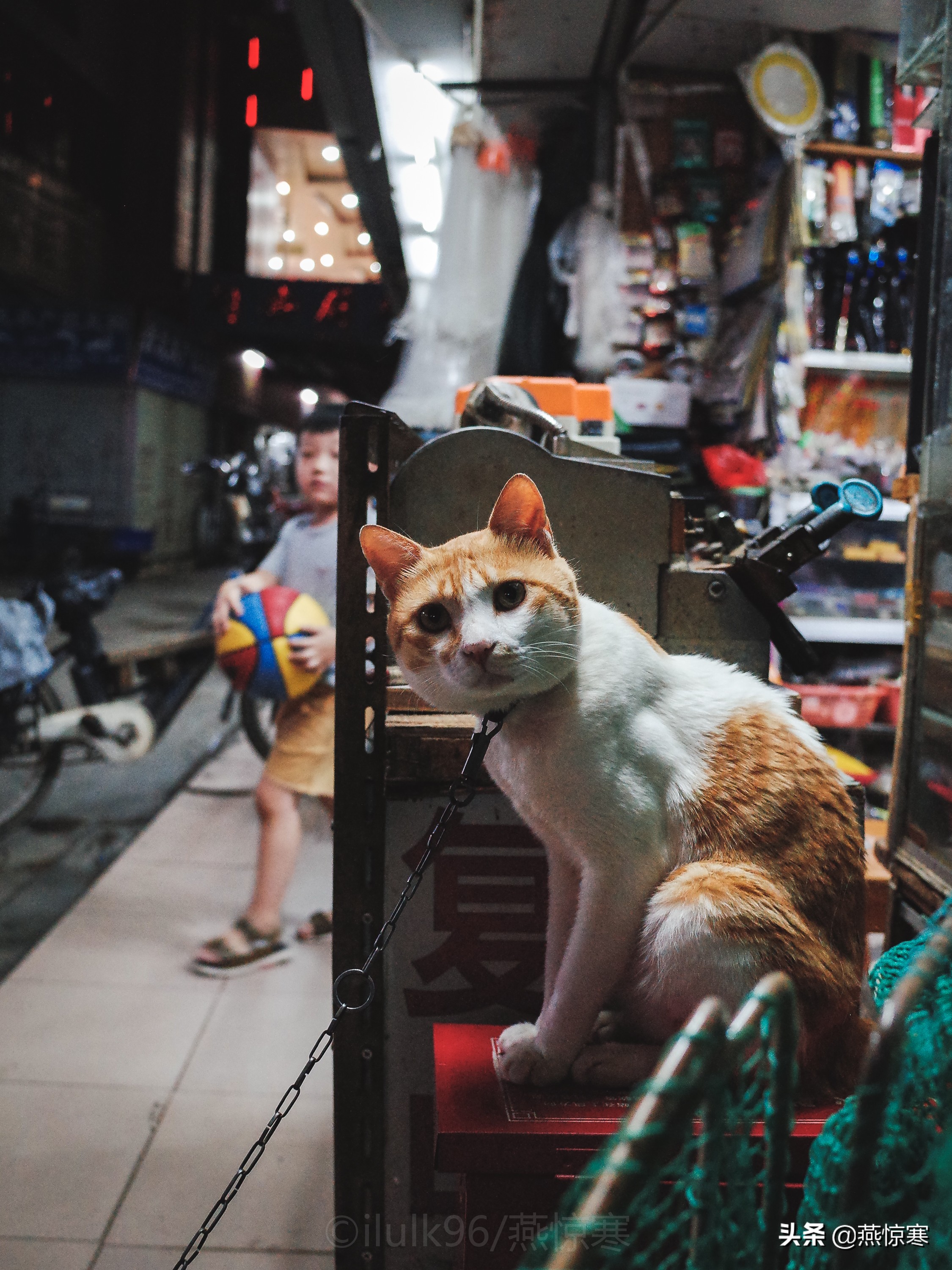 说说你用的相机,理光镜头和宾得通用吗