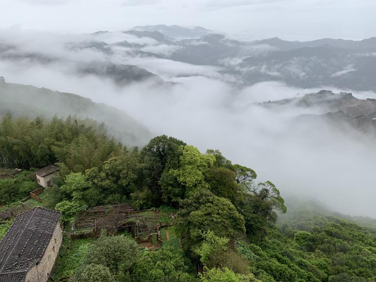 大学最冷门偏冷专业,被冷门专业录取了