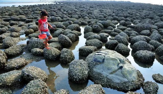距海南20km有片处女地，比台湾风情比三亚便宜，路过都错过了