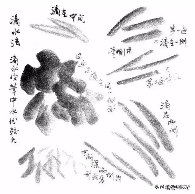 国画没有书法基础,国画没有基础最好先学哪些入手