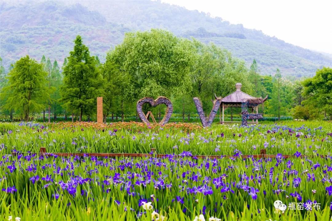 美美美!余杭七大花海组团来袭,遍地繁花好似人间仙境