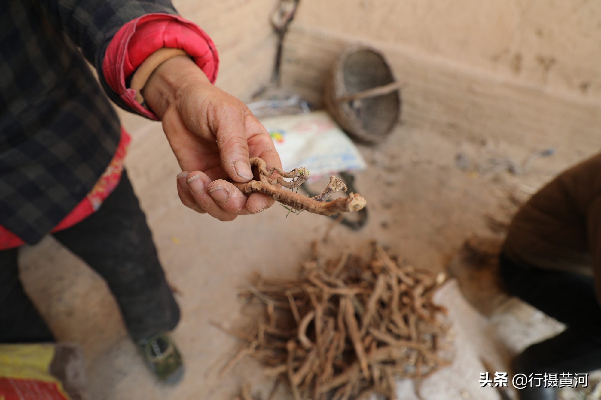 六十五岁大妈打工,65岁大妈打工视频