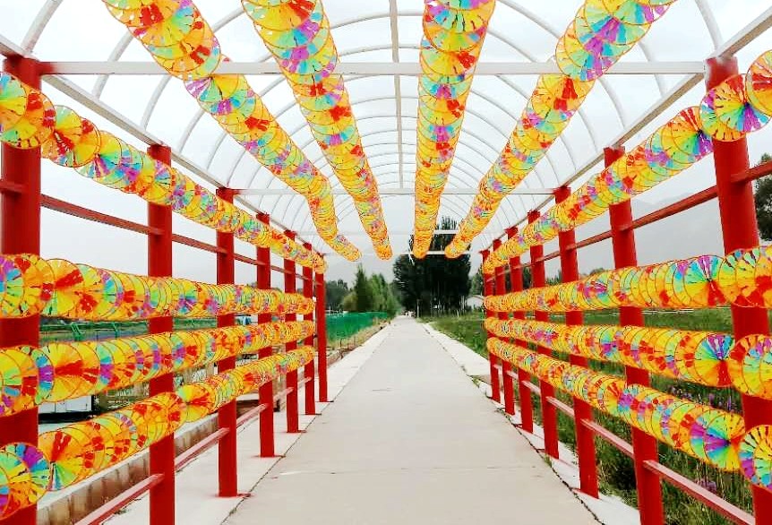 千亩花海肃北,肃北万亩花海