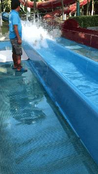 搞笑gif狗子我为这个家操碎了心,搞笑gif图片狗子都开始学坏了