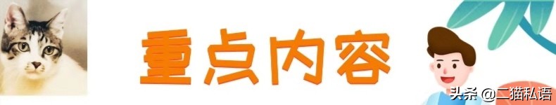 猫咪得了分离焦虑症，引发的原因有哪些？铲屎官该如何应对？