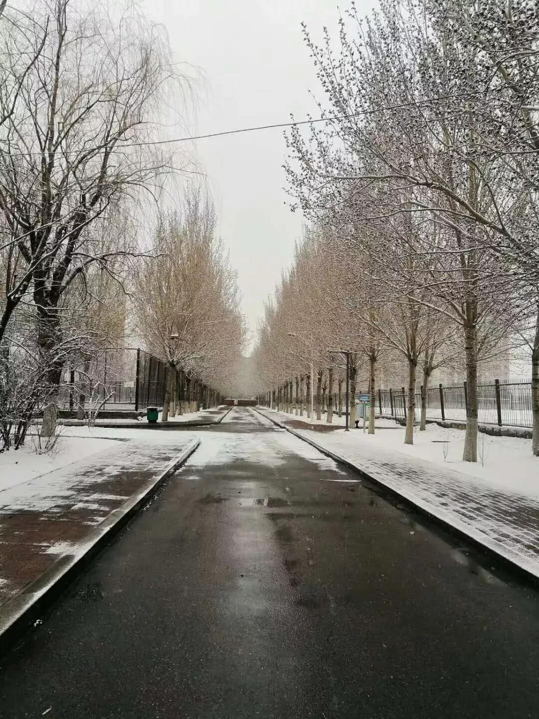 辽宁省普通高等院校,辽宁省沈阳本科大学