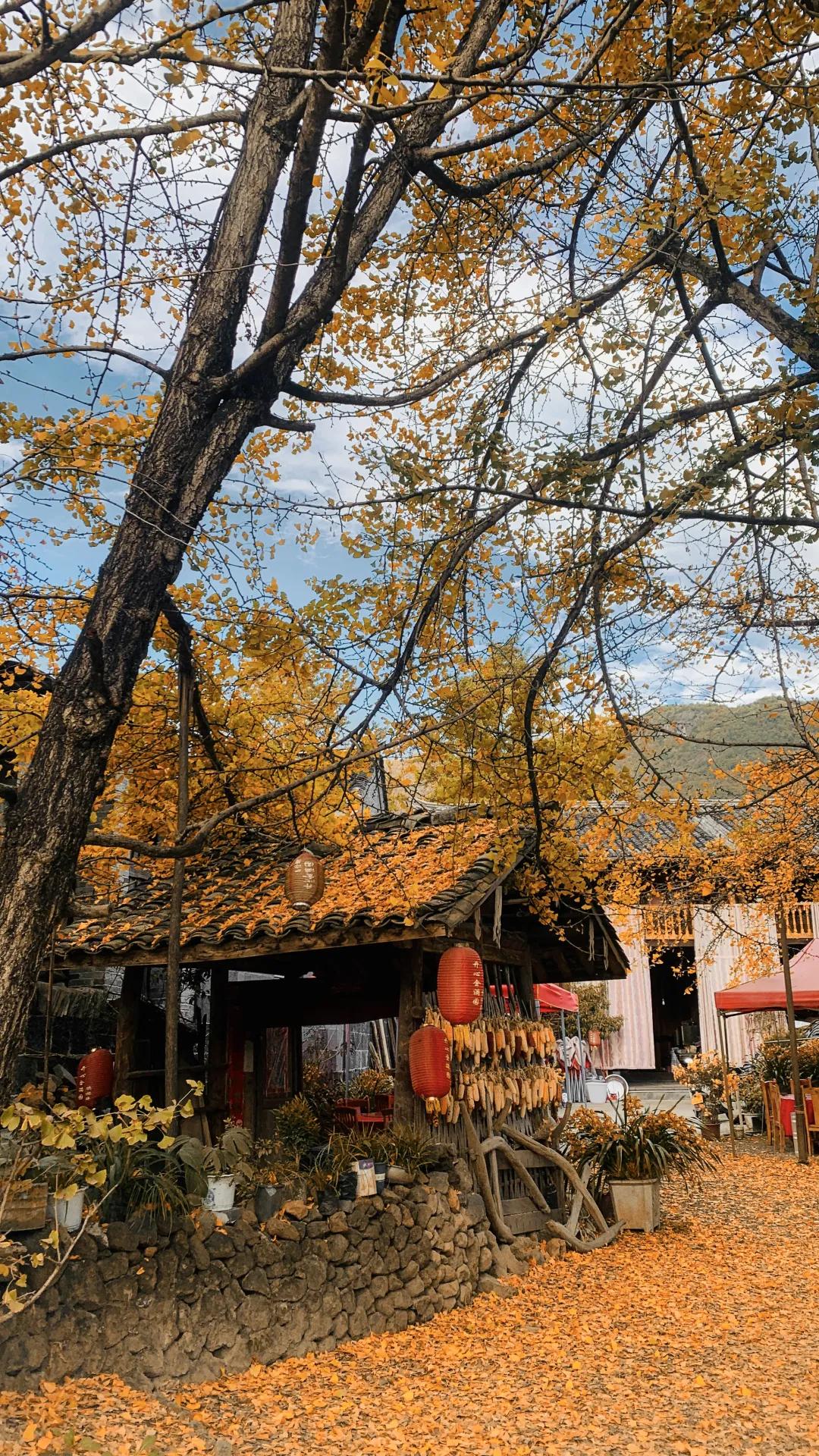 腾冲县地图在云南的哪个位置,腾冲边境地图