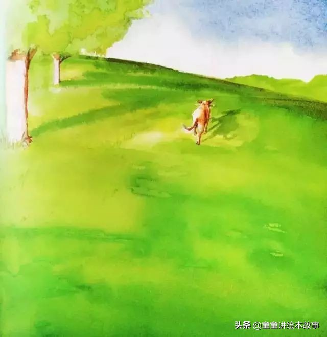 绘本故事有声小熊进城,绘本故事大城市里的小象