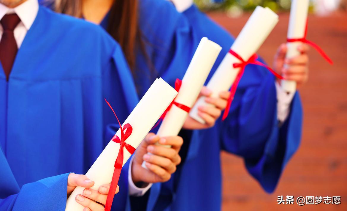 比专业志愿高几分才能避免被调剂,如何避免被调剂到不喜欢的专业