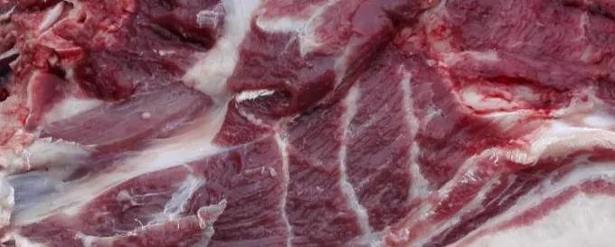 各个省份的国宝,广东十大国宝