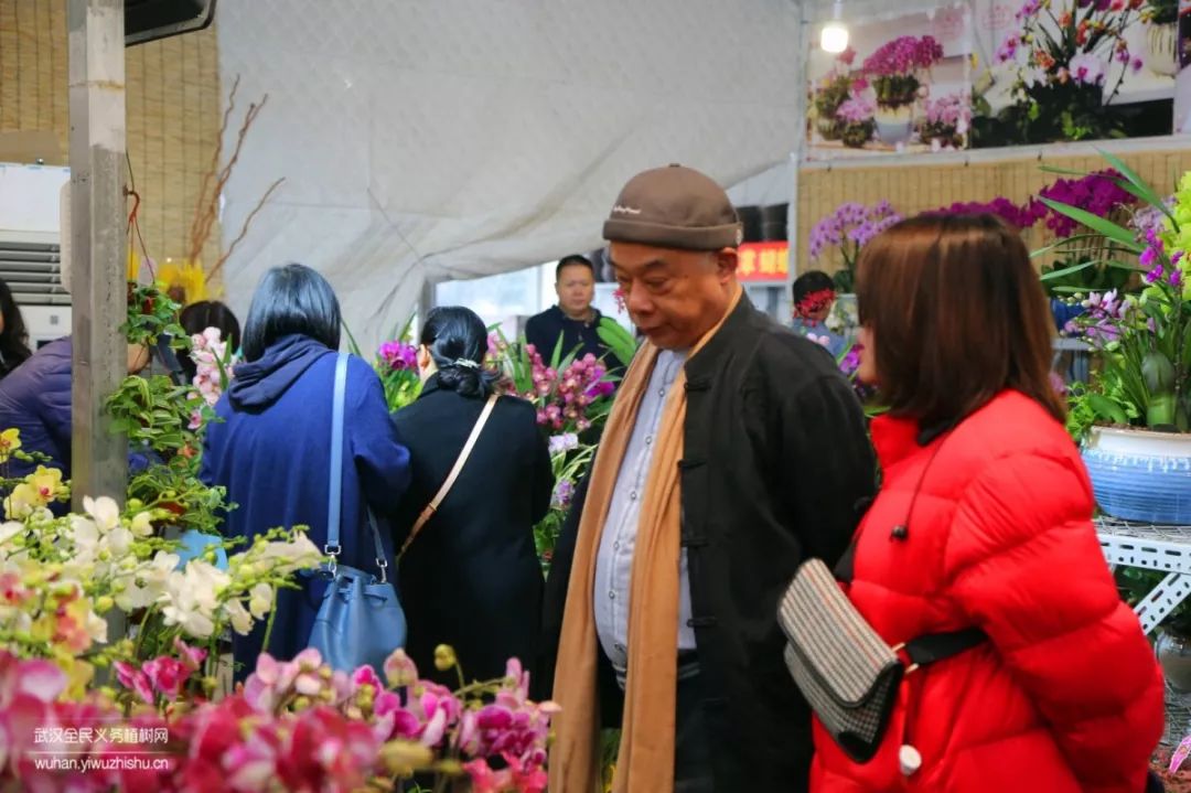 园艺沙龙|前方高能！一大波人相约逛花市，究竟淘了些啥？