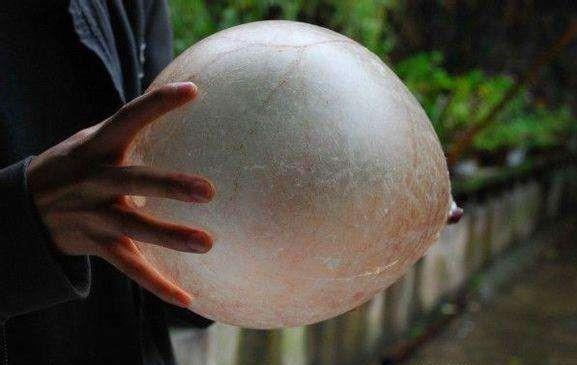 足球基本阵型与基本战术,足球阵型及分析