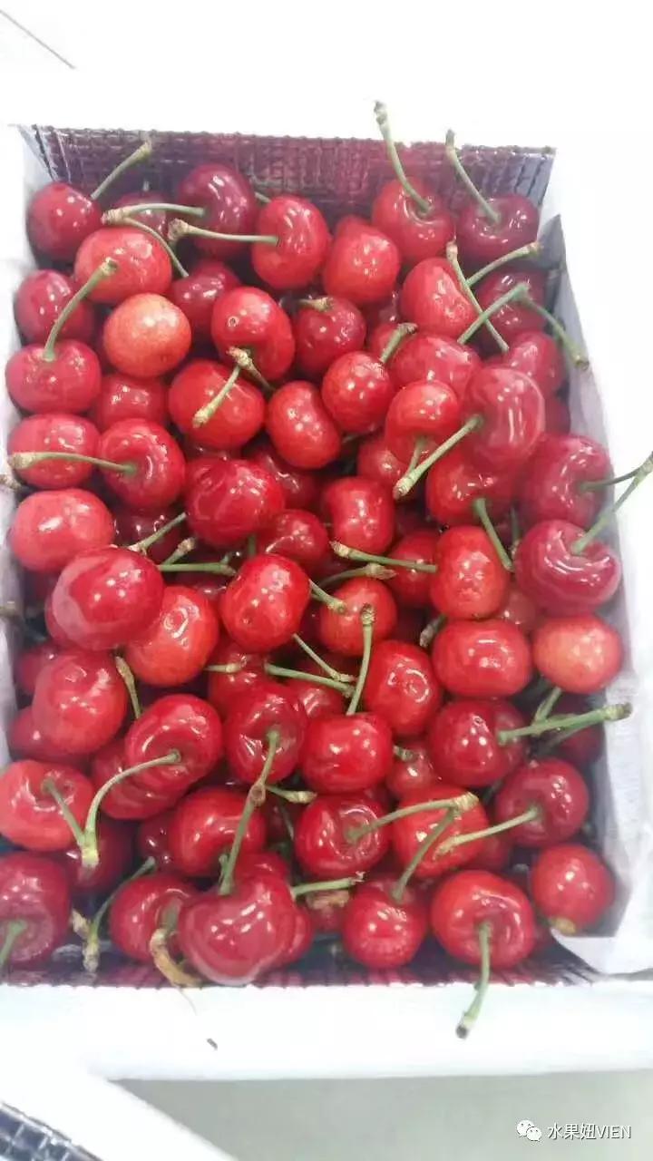 妯辨璐╁瓙鎬庝箞璧氶挶,妯辨绉嶆楠楀眬鎻鏂伴椈