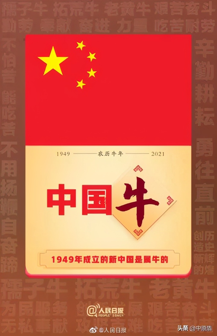 法治新闻是什么,法治新闻2014完整版
