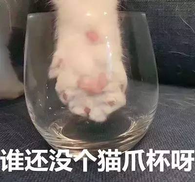 星巴克春季限定樱花,2019星巴克夏日海洋系列