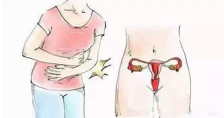 林金芳医生中枢性闭经,内分泌林金芳