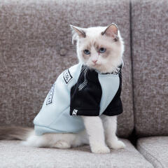 啮齿类宠物真菌感染,引起宠物传染病的微生物有哪些