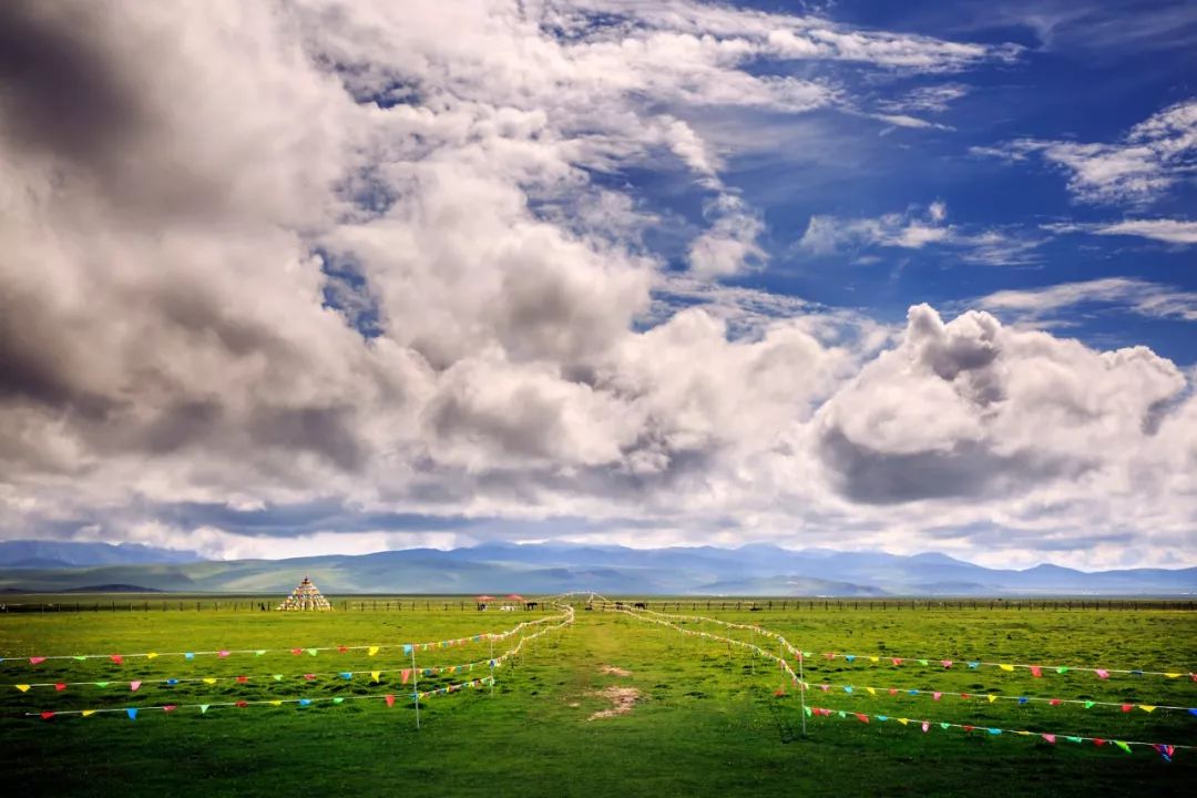 川西若尔盖草原，7月迎来颜值巅峰，温度不到20℃！避暑走起