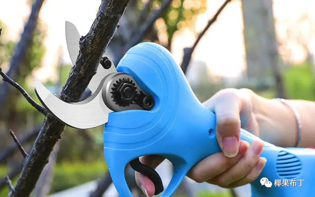 哪个品牌园艺剪刀好一点耐用,什么牌子的进口园艺剪刀最好