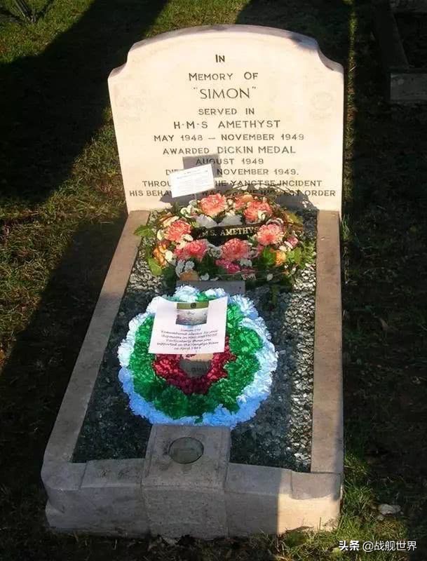 撸猫一时爽,撸错就很惨,盘点这些战舰上的玄学舰猫,你了解多少