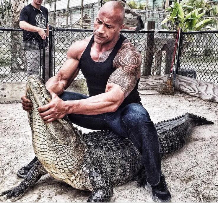 美国演员巨石强森自曝感染新冠,巨石强森与妻女确诊新冠