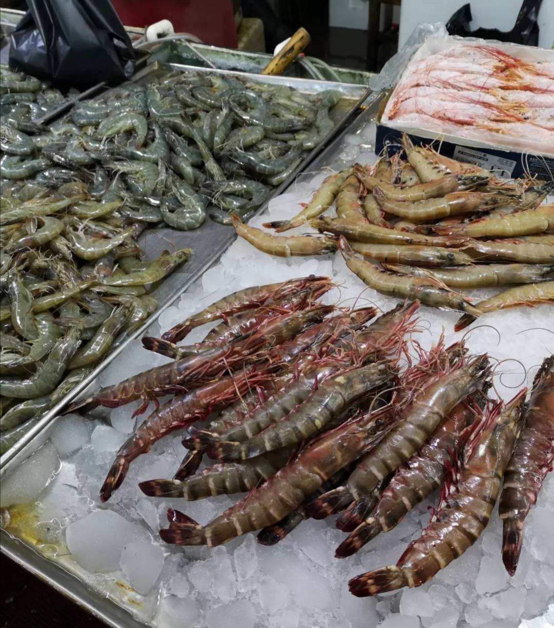 最新青岛海鲜批发市场价格,青岛最大的海鲜批发市场是哪一个