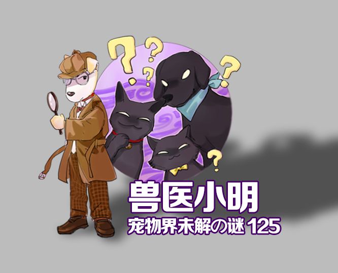 宠物冰垫安全,宠物冰垫有没有毒