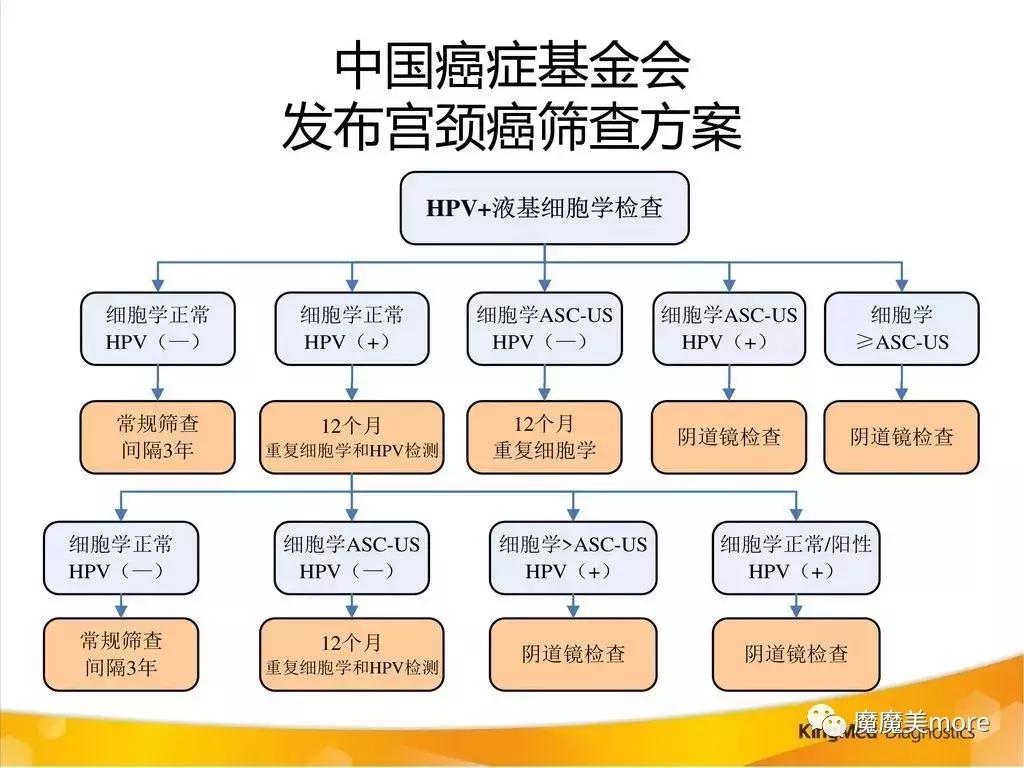 hpv宫颈癌育苗去哪里预约,hpv宫颈癌疫苗现场预约
