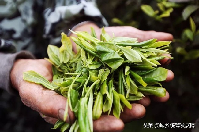 鐧句簨鍙箰璺ㄧ晫鍚堜綔,鐧句簨鍙箰甯傚満鎬荤洃