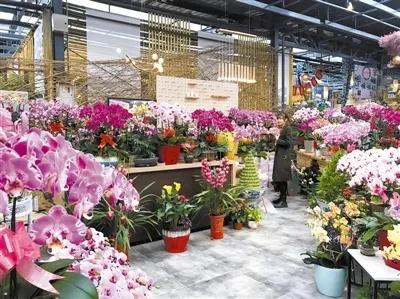 做家庭园艺能赚钱吗,园艺市场未来发展趋势