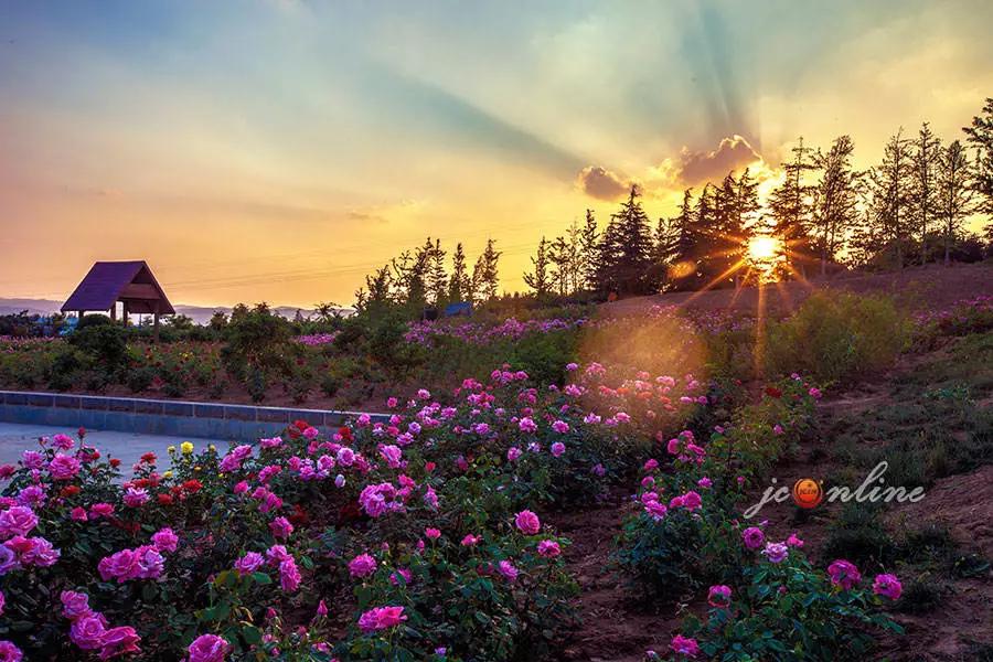 郑太高铁高平到太原里程,太原到郑太高铁