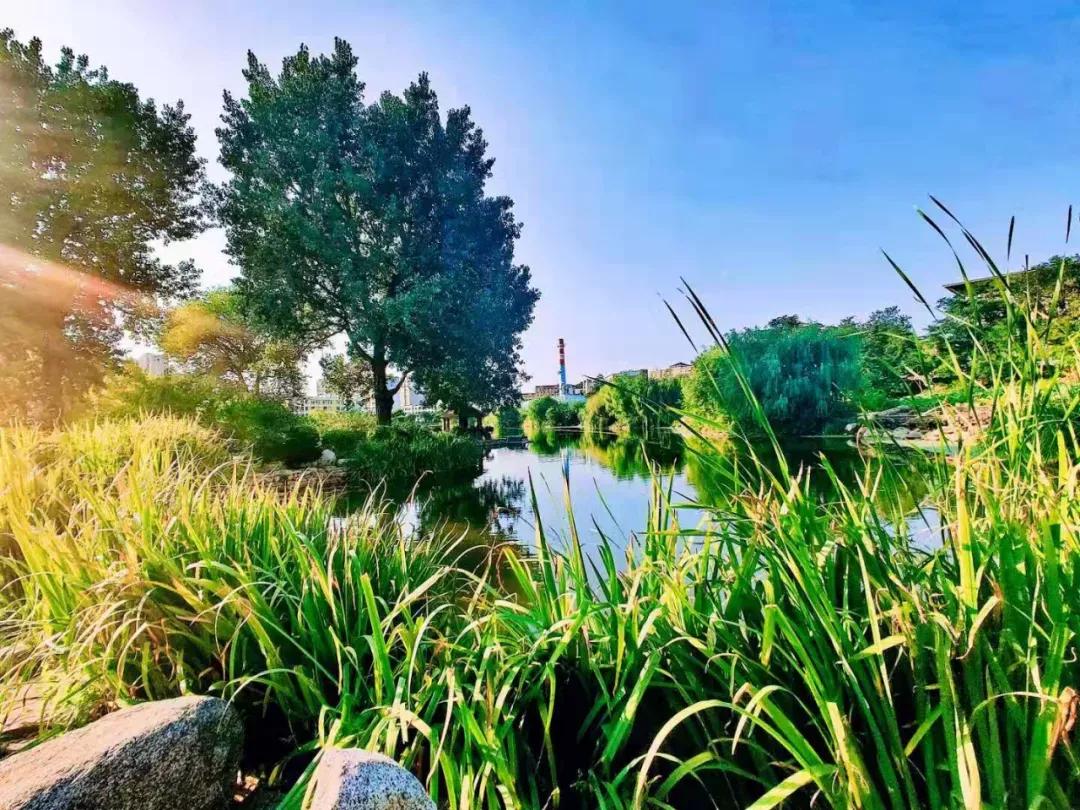 大连海事大学辽宁省大学排名,孔峰辽宁省教育厅大连海事大学