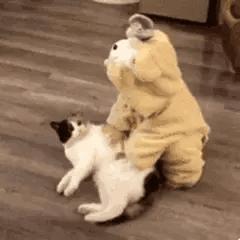 今日表情包第三弹图片,今日表情包收藏