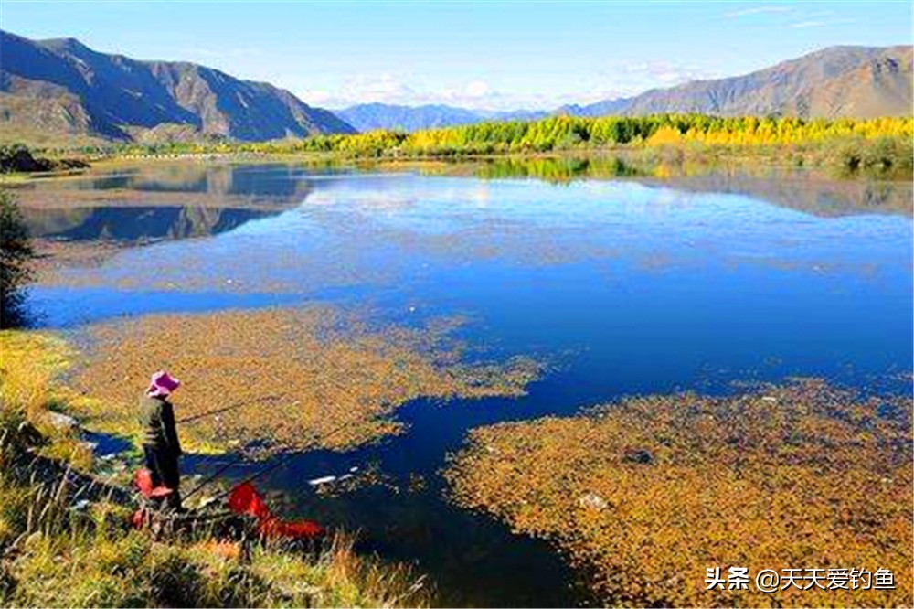 秋季钓鱼不空军和什么搭配,初夏夜间钓鱼技巧选钓位和时间