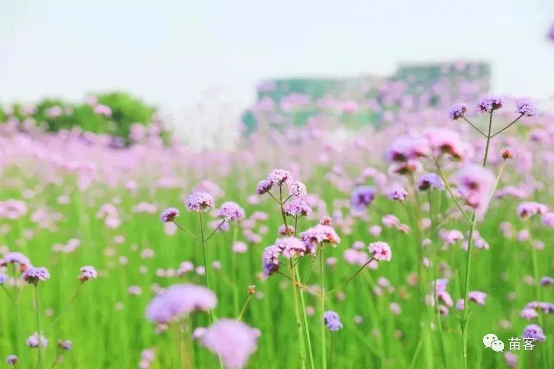 福州一日游不要钱最佳景点,福州周边短途一日游攻略的文章
