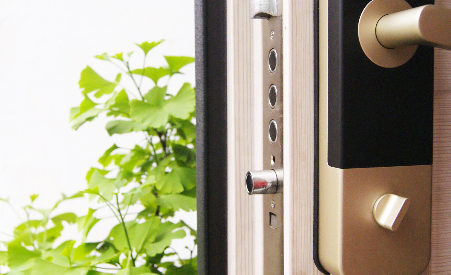 LifeSmart云起智能科技,云起智能锁怎么样