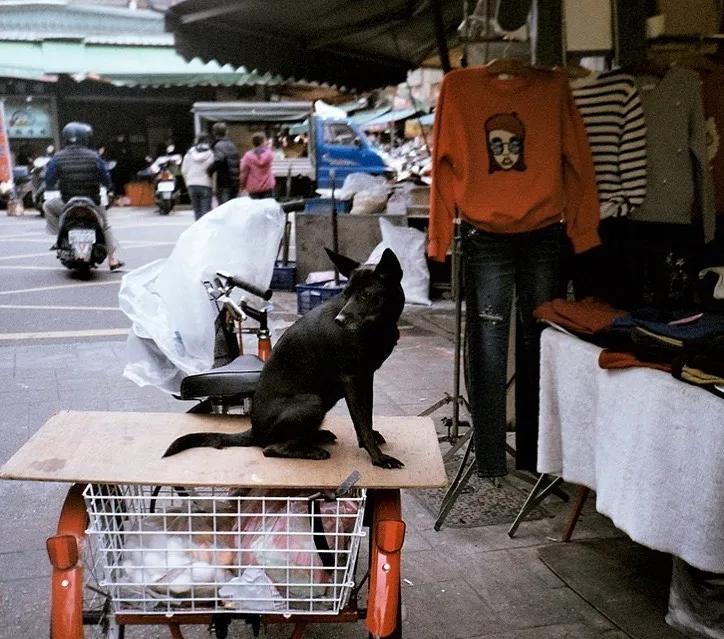 为什么台湾女明星多出文艺女青年？