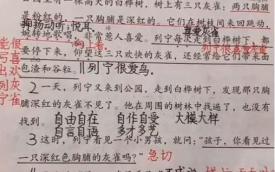 小学生学霸整理笔记,用学霸笔记预习孩子能得到什么