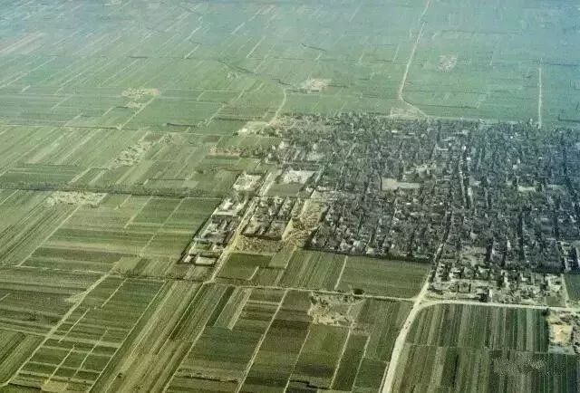 博物馆馆长花64万买14件“假货”，如今成无价之宝，禁止出境展览