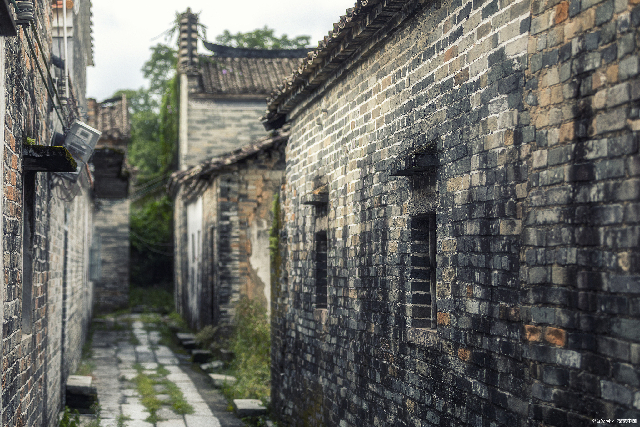 慎读《羊的门》——体悟耐得住寂寞人生的外圆内方