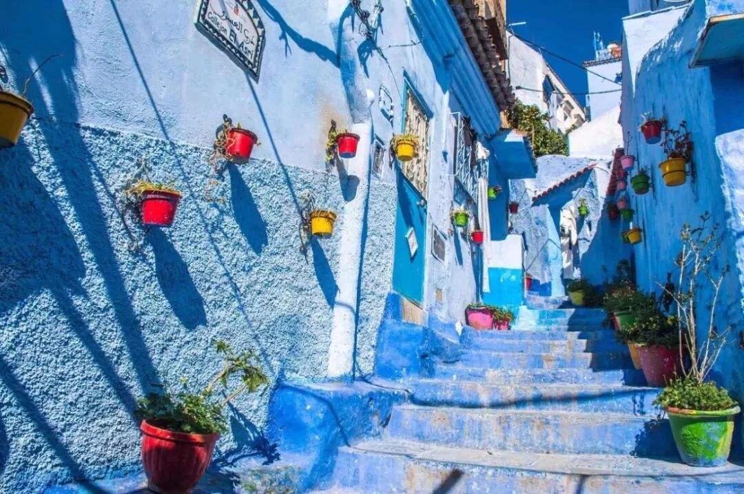 三毛我的宝贝讲的什么,三毛我的宝贝主要内容简介