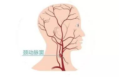 结婚前！这10个要点，男女最好知道一些！